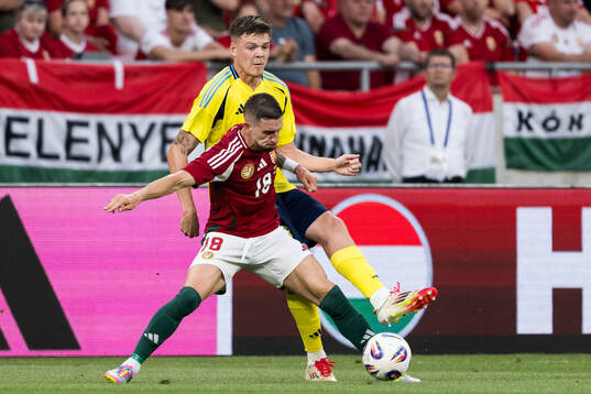Zsolt Nagy of Hungary and Emil Holm of Sweden