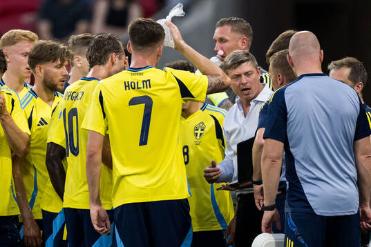 Head coach Jon Dahl Tomasson of Sweden