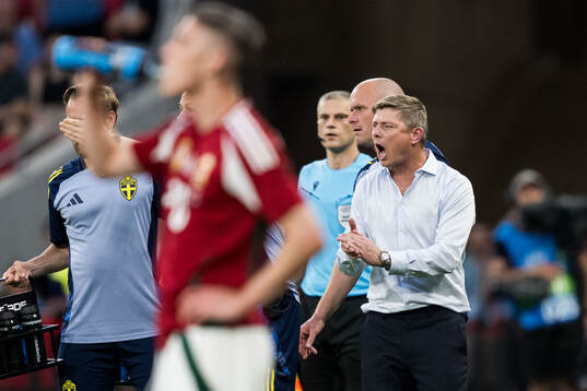 Head coach Jon Dahl Tomasson of Sweden