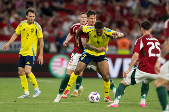 Tamás Nikitscher of Hungary and Isak Hien of Sweden