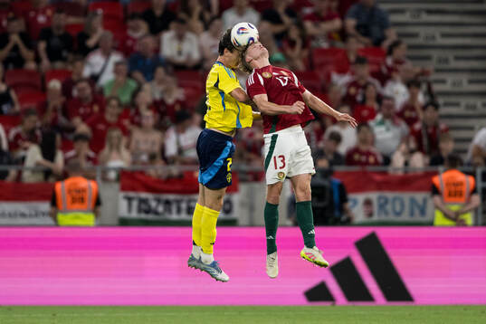 Hjalmar Ekdal of Sweden and Andras Schäfer of Hungary
