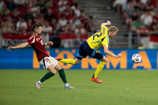 Zsolt Nagy of Hungary and Alexander Bernhardsson of Sweden