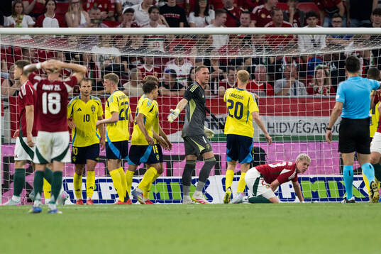 goalkeeper Robin Olsen of Sweden celebrates