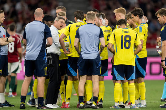 Head coach Jon Dahl Tomasson of Sweden