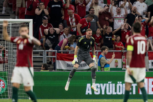 Goalkeeper Robin Olsen of Sweden celebrates