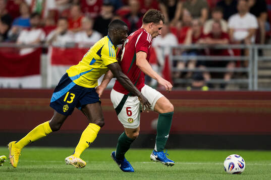 Ken Sema of Sweden and Milán Vitális of Hungary