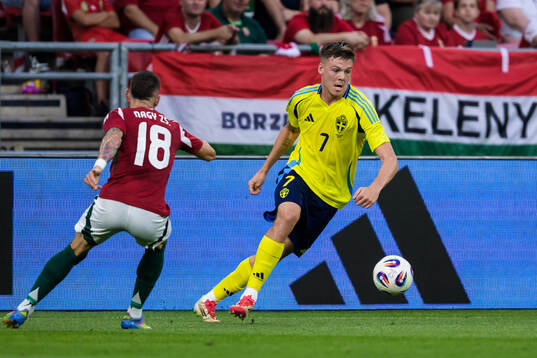 Zsolt Nagy of Hungary and Emil Holm of Sweden