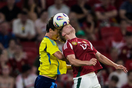 Hjalmar Ekdal of Sweden and Andras Schäfer of Hungary