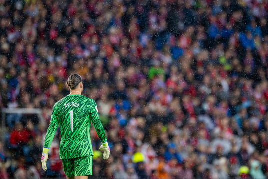 Goalkeeper Ørjan Håskjold Nyland of Norway