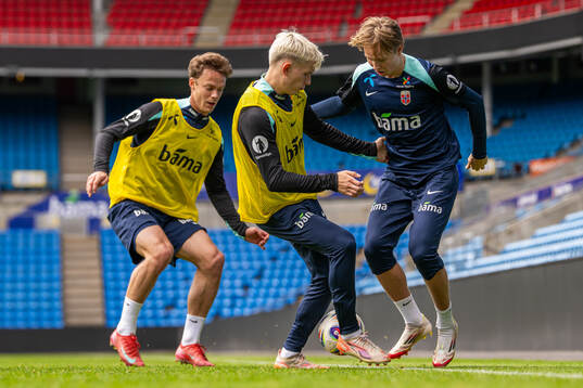 Felix Horn Myhre, Marcus Holmgren Pedersen and Andreas