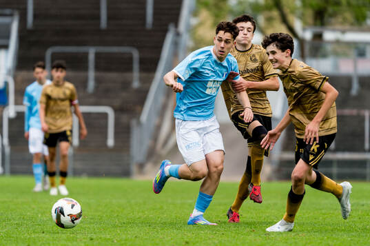 Malmö FFs Daniel Dragicevic