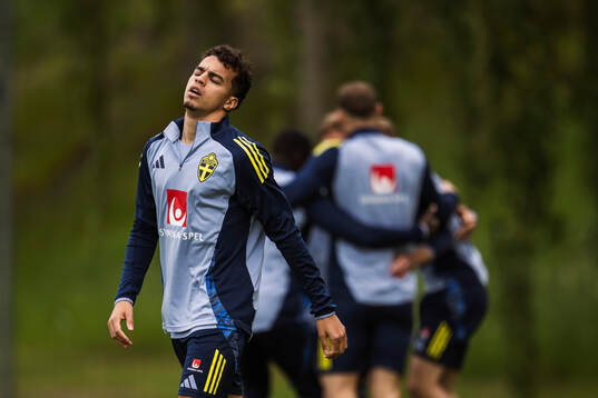 Yasin Ayari of the Swedish men's national football team