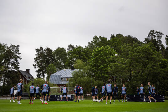 View over a training session with the Swedish men's
