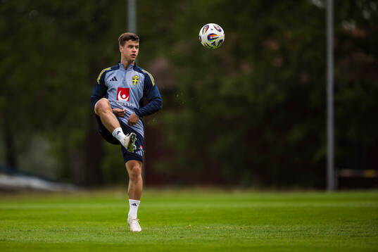 Samuel Dahl of the Swedish men's national football team at