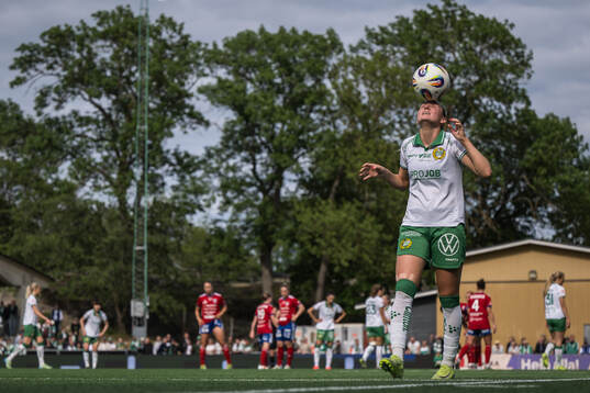 Hammarbys Vilde Hasund