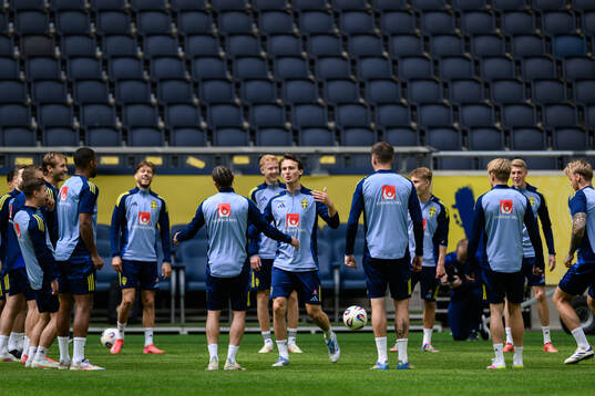 Hjalmar Ekdal of the Swedish men's national football team