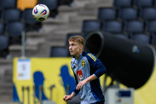 Hugo Bolin of the Swedish men's national football team