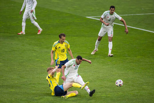 Hugo Larsson and Benjamin Nygren of Sweden against Ismael