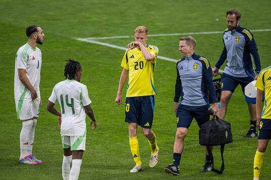 Hugo Larsson of Sweden in pain