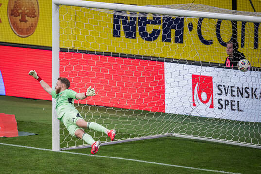 Goalkeeper Viktor Johansson of Sweden let in the 4-1 goal