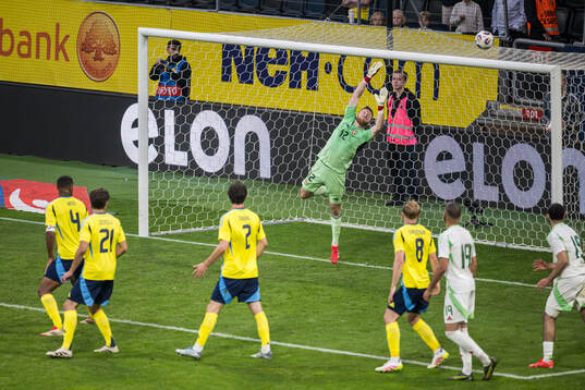 Goalkeeper Viktor Johansson of Sweden