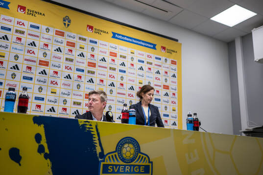 Head coach Jon Dahl Tomasson of Sweden