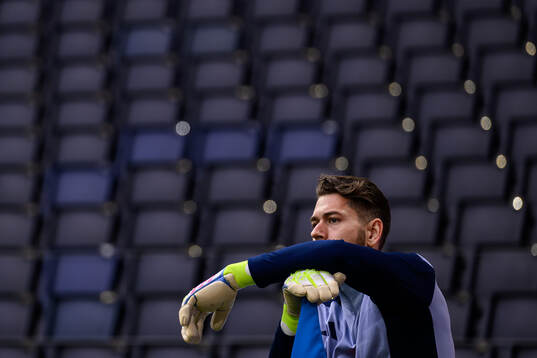 Goalkeeper Kristoffer Nordfeldt of Sweden