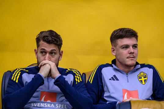 Goalkeeper Kristoffer Nordfeldt and Emil Holm of Sweden