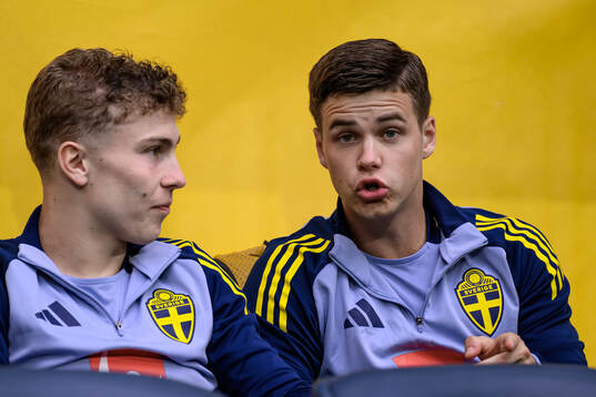 Hugo Bolin and Samuel Dahl of Sweden