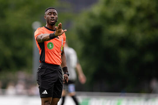 Domare Fredrik Oppong