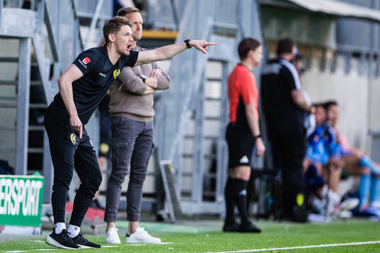 Hammarbys assisterande tränare William Strömberg