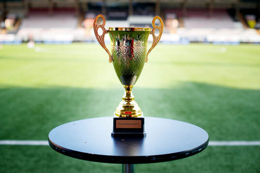 Pokalen till vinnaren av ligacupen 2015 P16