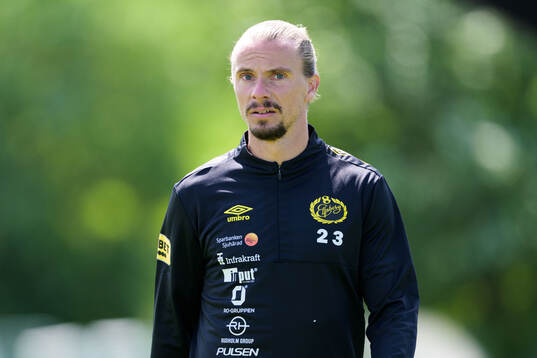 Elfsborgs Niklas Hult