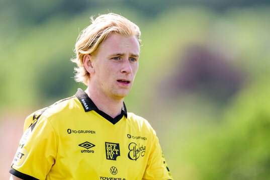 Elfsborgs Ludvig Richtnér