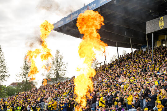 Spectators in the stands