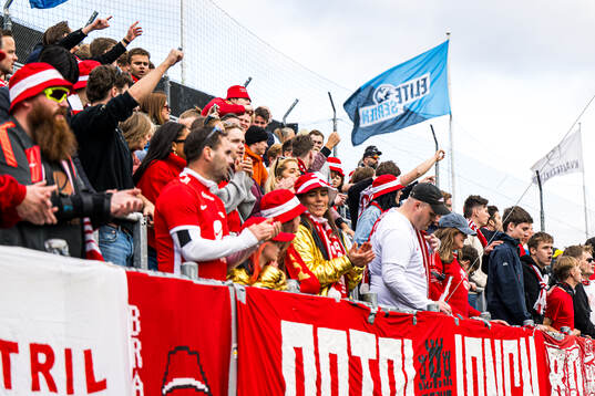 Spectators in the stands