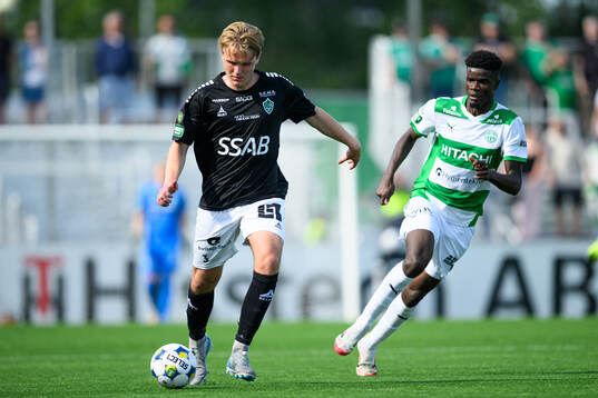 Brages Teodor Wålemark
