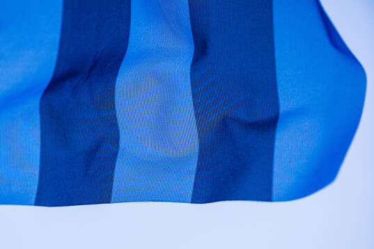 En del av en hörnflagga i Djurgårdens färger