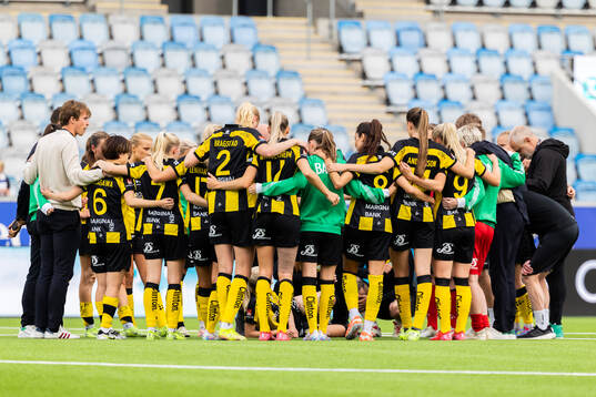 Hammarbys spelare