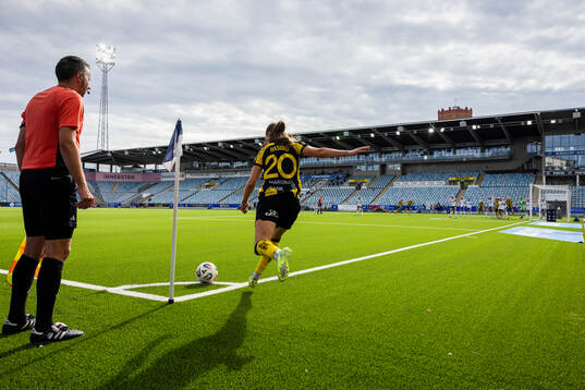 Hammarbys Vilde Hasund