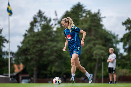 Amanda Ilestedt of the Swedish women’s national football