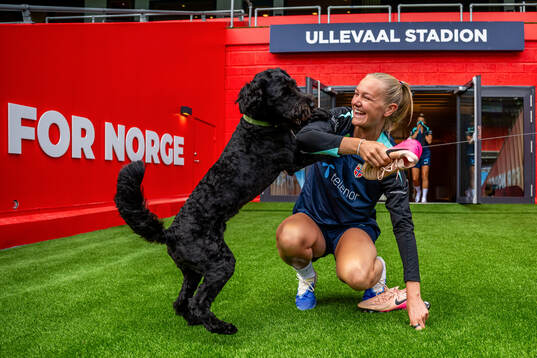 Bläddra bland fler bilder av Football, Norway, Women, training