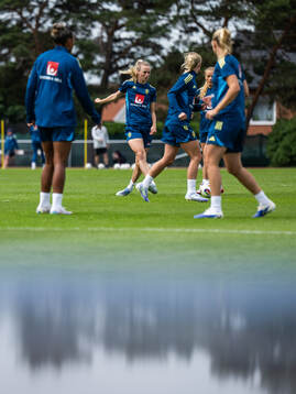Amanda Ilestedt of the Swedish women's national football