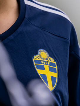 s riksläger för F10