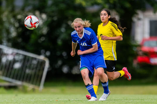 Amanda Cannehag, Hammarby IF FF