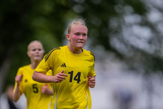 s riksläger för F10