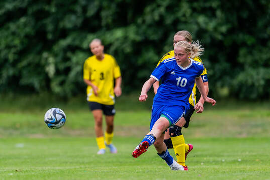 Amanda Cannehag, Hammarby IF FF