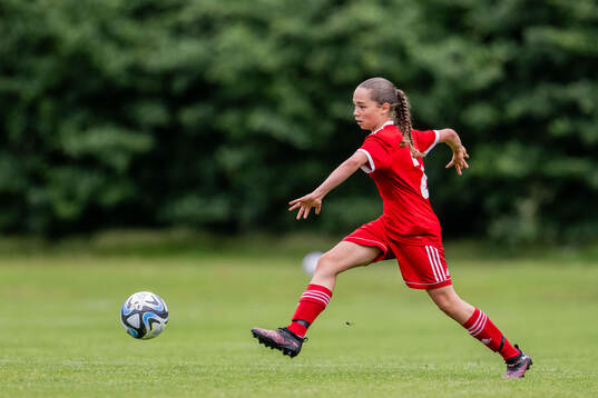 Leiah Frändén Gomes, Hammarby IF FF