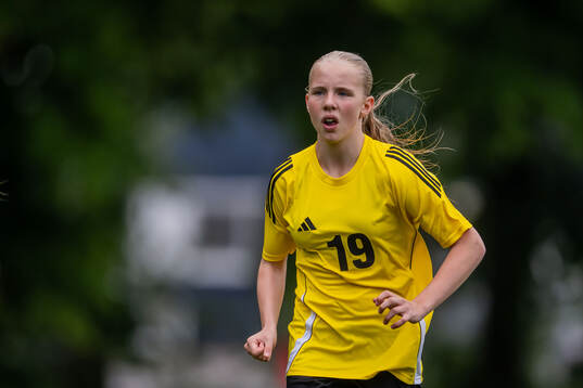 Elin Nilsson, Hammarby IF FF