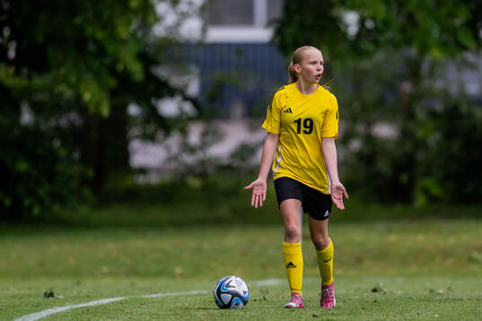 Elin Nilsson, Hammarby IF FF